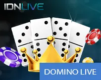 Domino Live